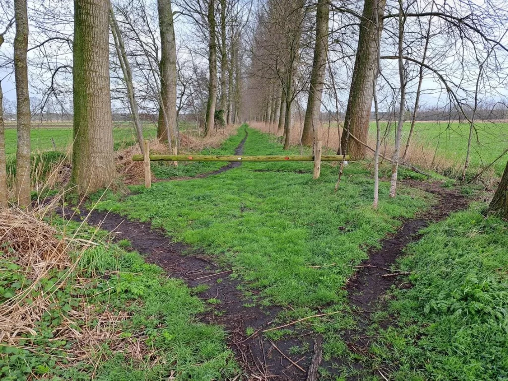 Wullebos in Klein-Sinaai (Stekene)