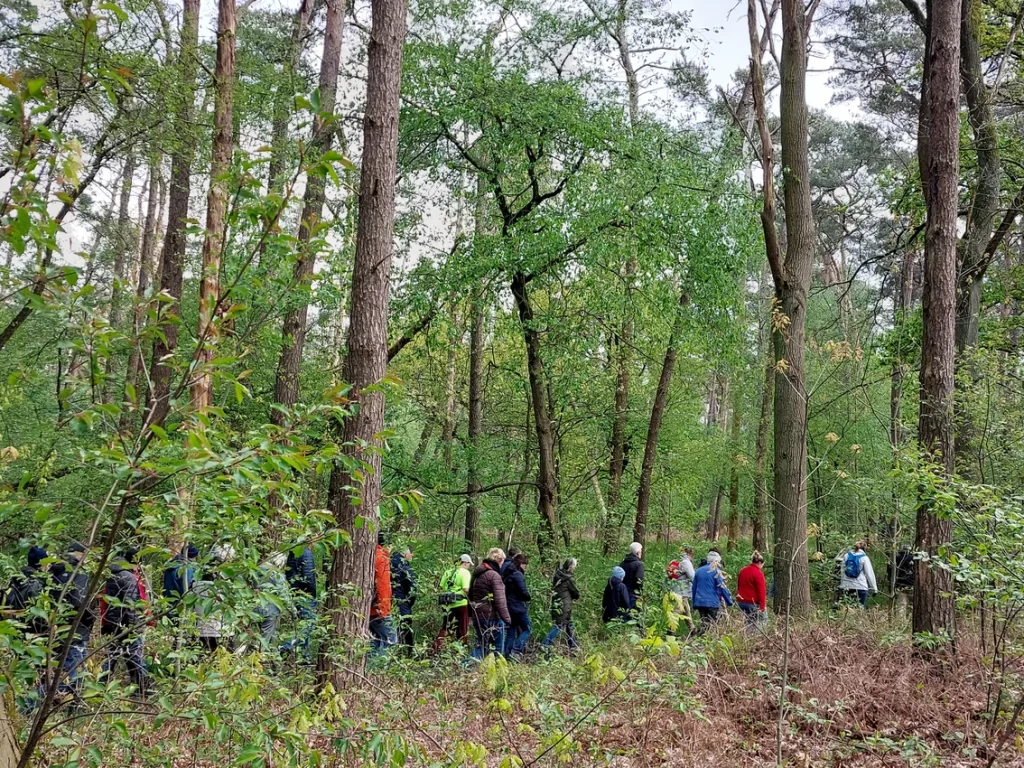 Trage Wegen Wandeling in het Wullebos in Klein-Sinaai (Stekene)