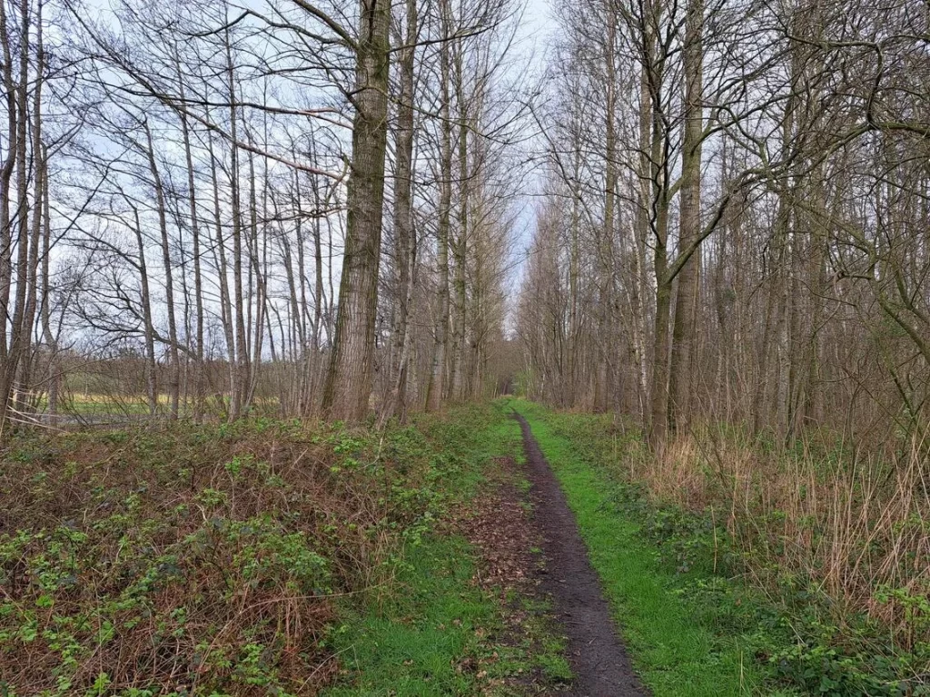 Wullebos in Klein-Sinaai (Stekene)